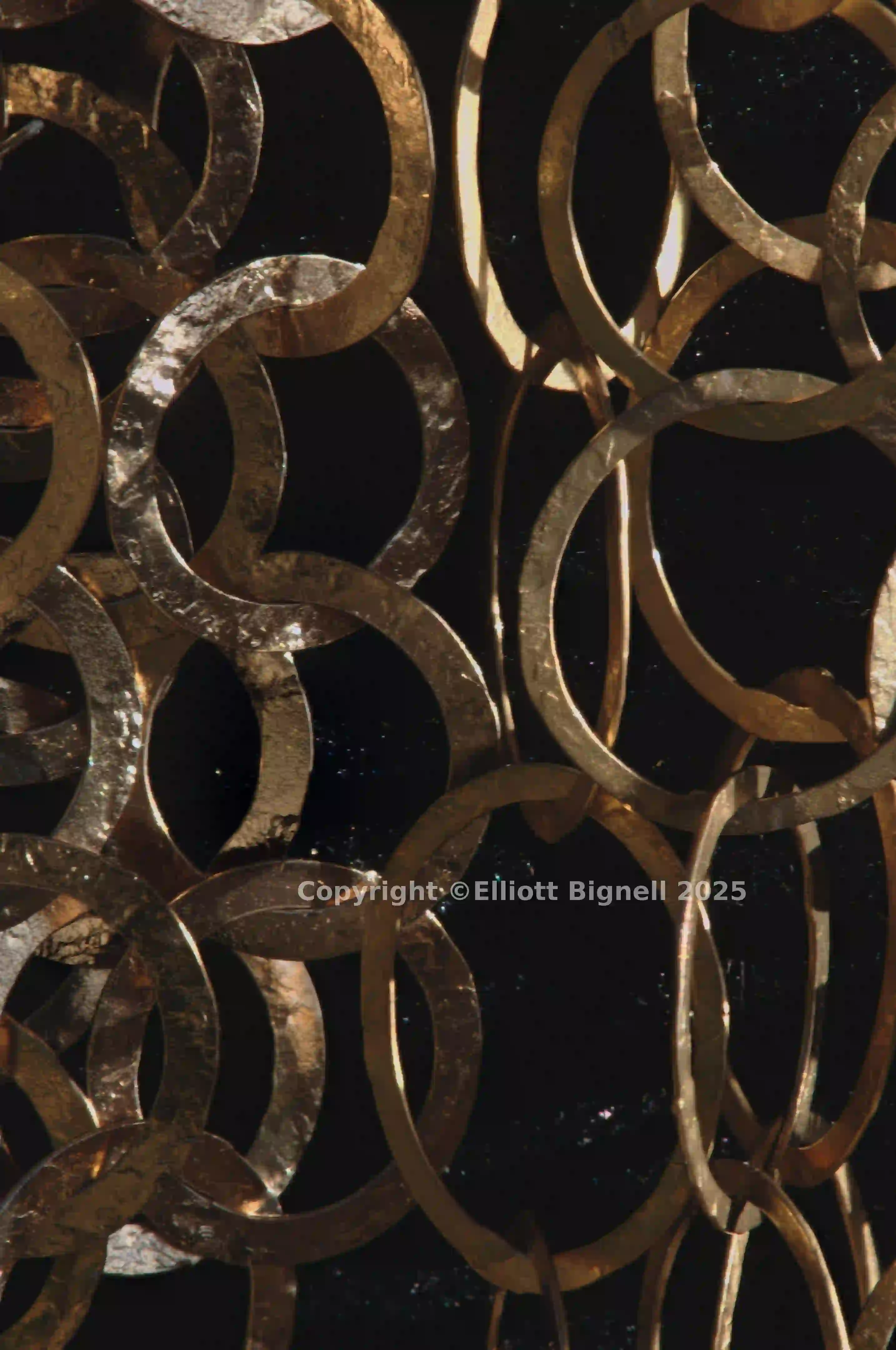 2013-11-23-10.39.22 ZS PMax.jpg